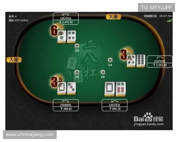 全面解析DS真人游戏的规则与玩法，助你提升在线博彩体验